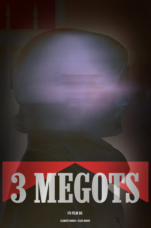 Affiche de 3 MEGOTS