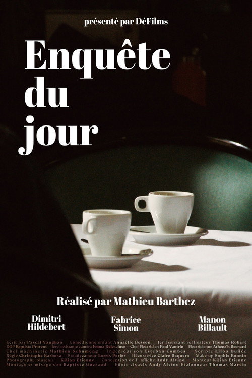 Affiche de Enquête du jour