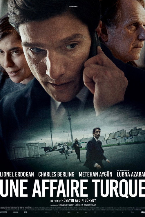 Affiche de Une affaire turque