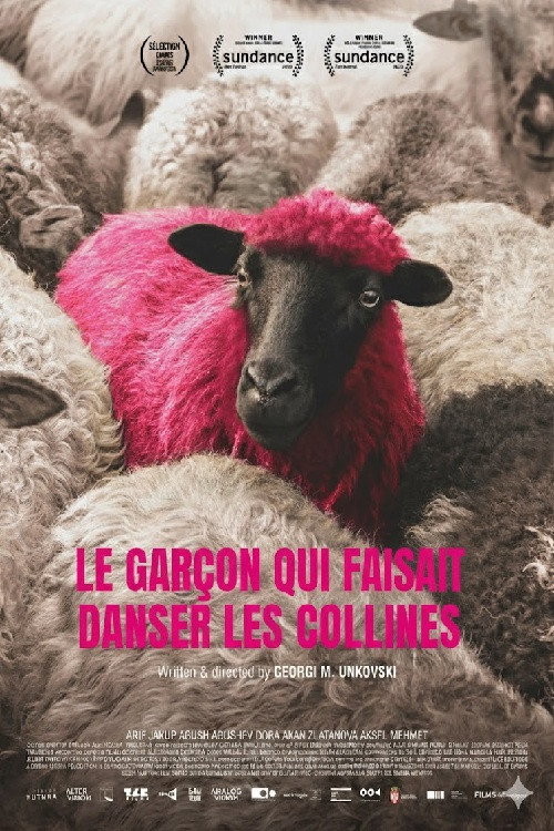 Affiche de Le Garçon qui faisait danser les collines