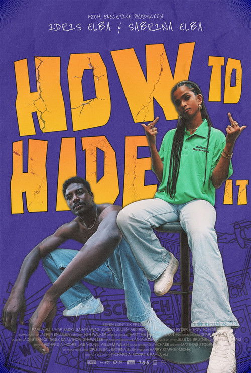 Affiche de How To Hide It