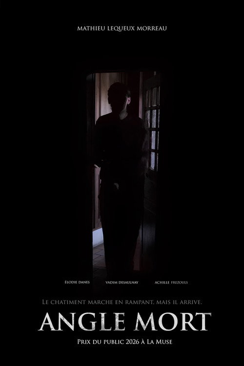 Affiche de Angle Mort