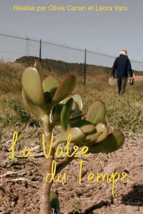 Affiche de La Valse du Temps