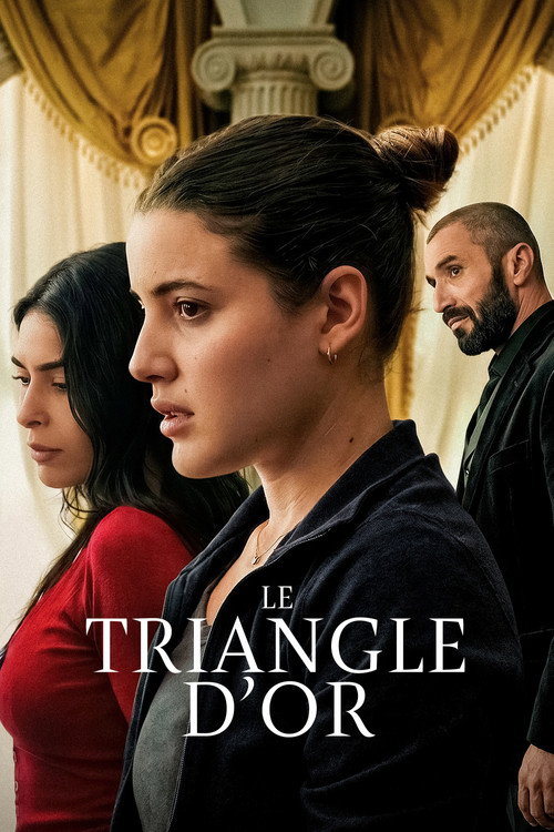 Affiche de Le Triangle d'or