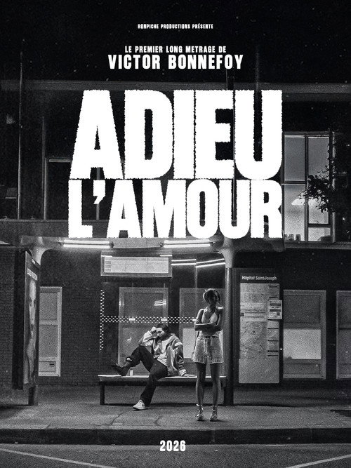 Affiche de Adieu L'Amour
