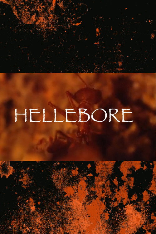 Affiche de Hellebore