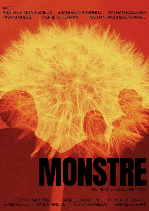 Affiche de Monstre