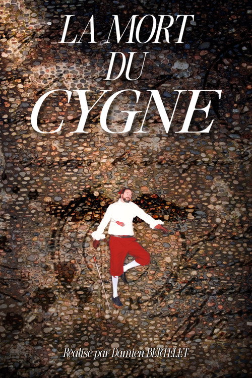 Affiche de La Mort du Cygne