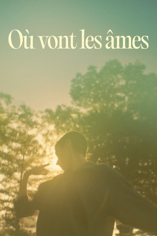 Affiche de Où vont les âmes?