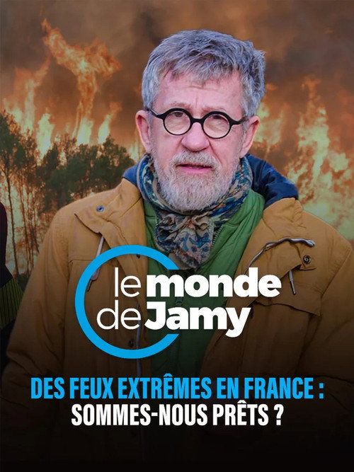 Affiche de Des feux extrêmes en France : sommes-nous prêts ?