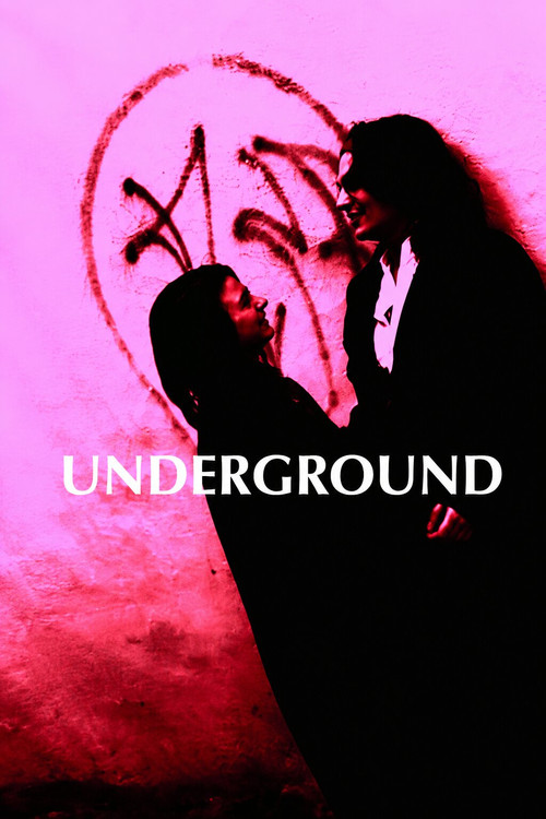 Affiche de Underground