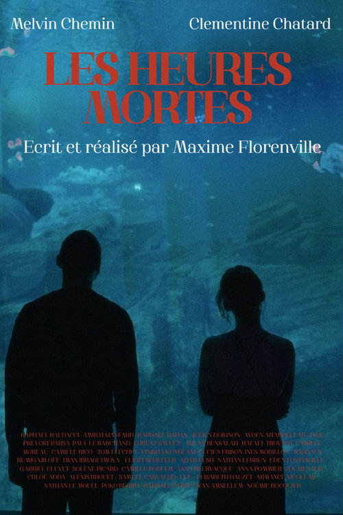 Affiche de Les Heures Mortes