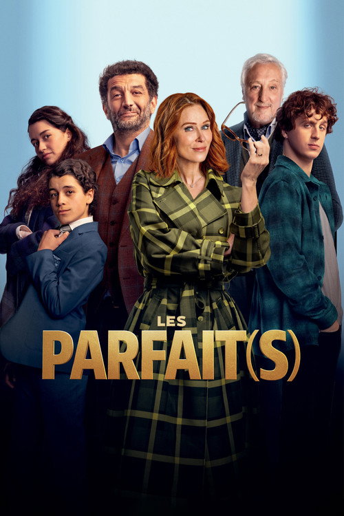 Affiche de Les Parfait(s) : Arnaques en Famille