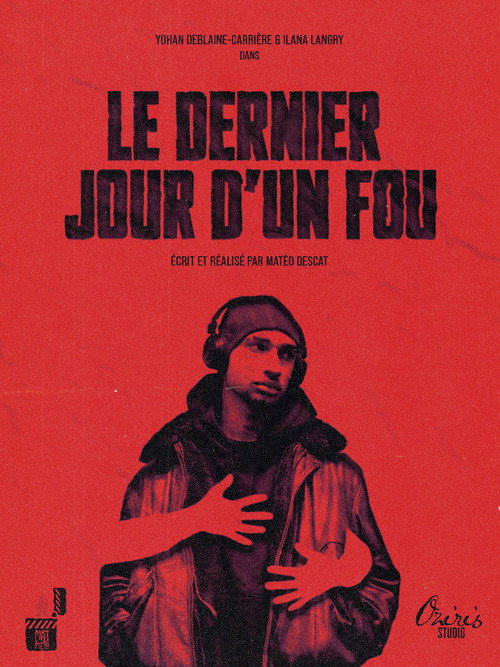 Affiche de LE DERNIER JOUR D'UN FOU