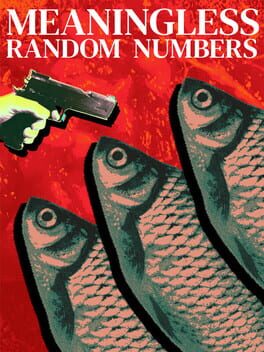 Jaquette de Meaningless Random Numbers