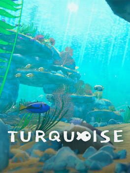 Jaquette de Turquoise