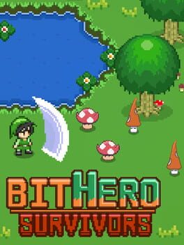 Jaquette de BitHero Survivors
