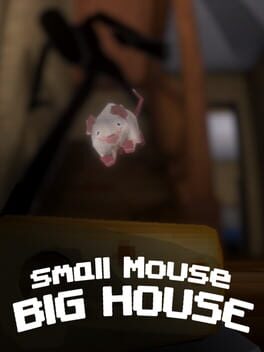 Jaquette de Small Mouse Big House