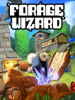 Jaquette de Forage Wizard